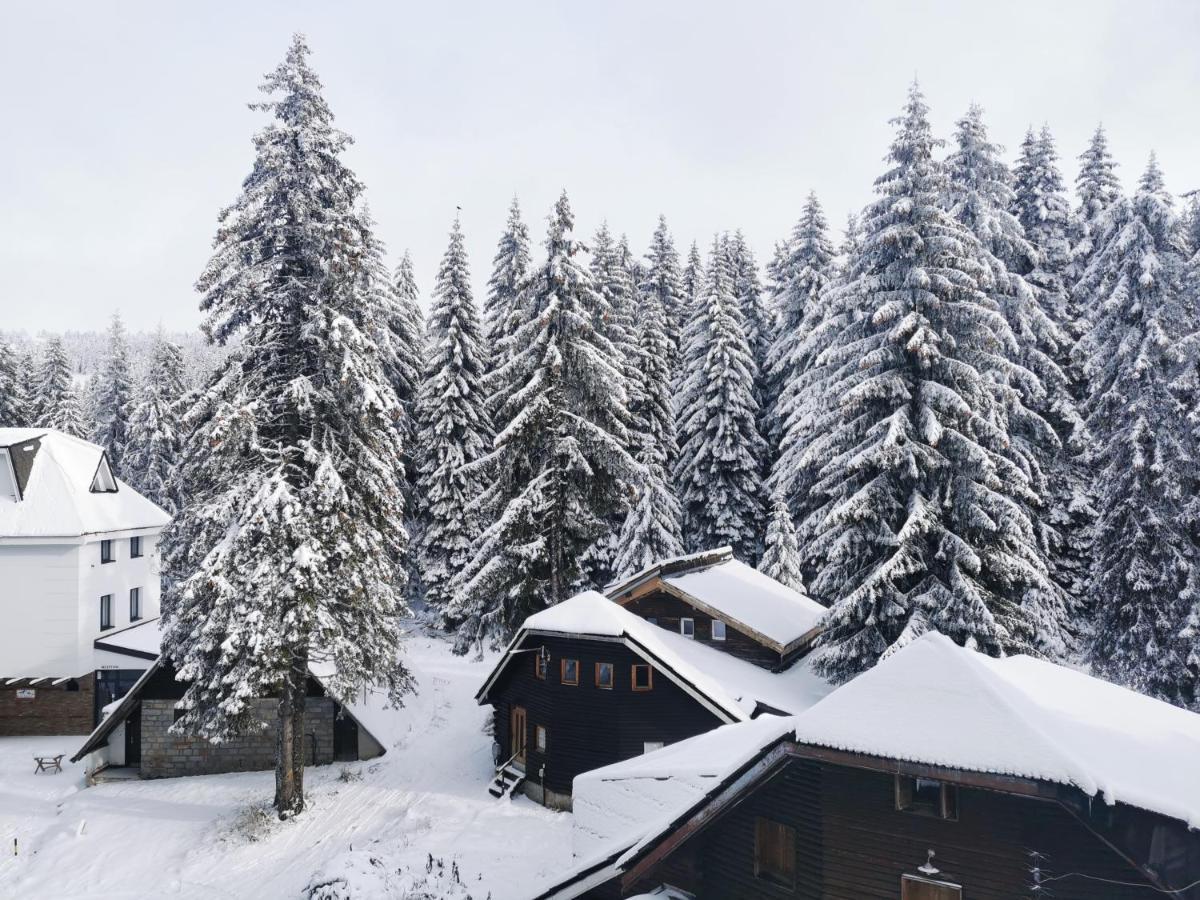 Apartments Zed Vila Zvoncica Kopaonik Exteriér fotografie