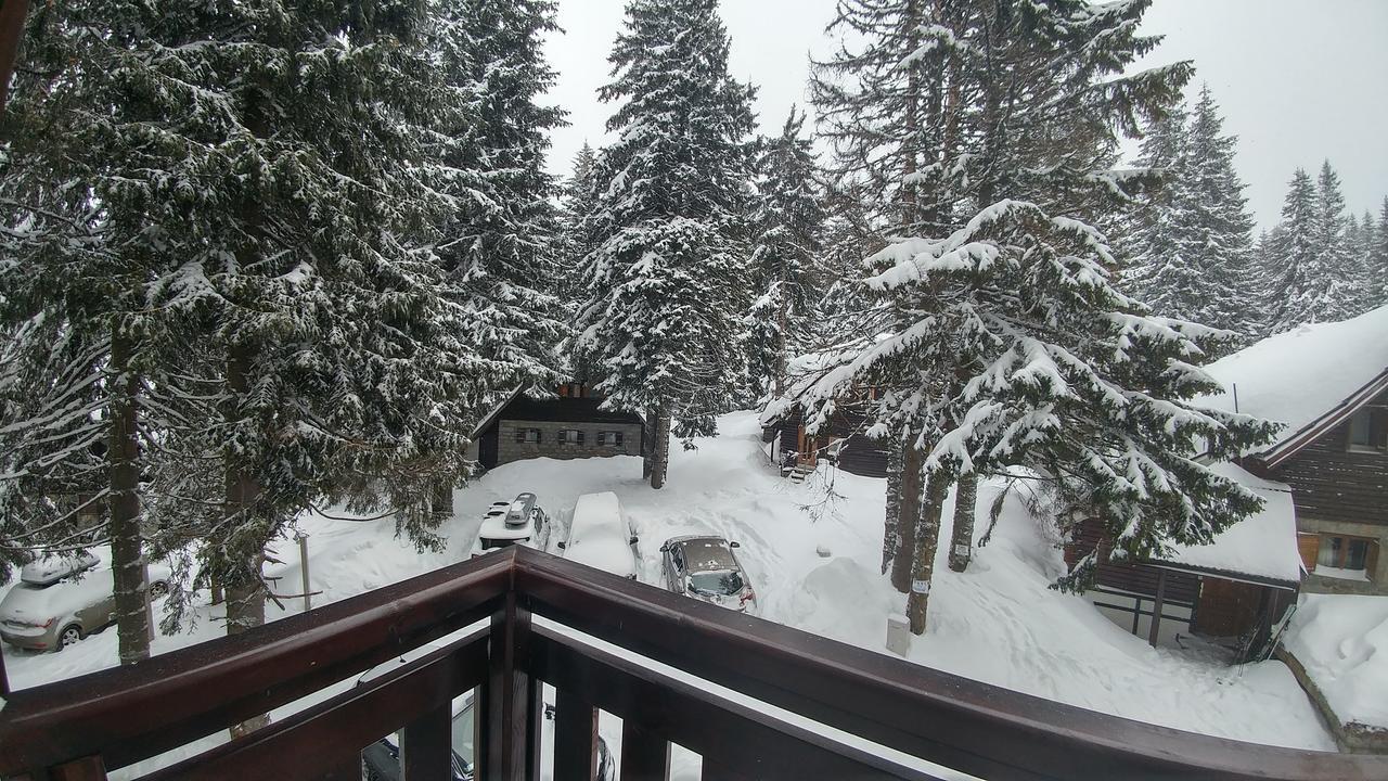 Apartments Zed Vila Zvoncica Kopaonik Exteriér fotografie