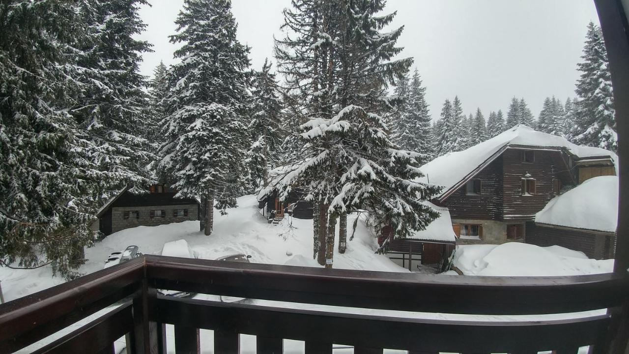 Apartments Zed Vila Zvoncica Kopaonik Exteriér fotografie